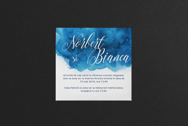 Bianca si Norbert