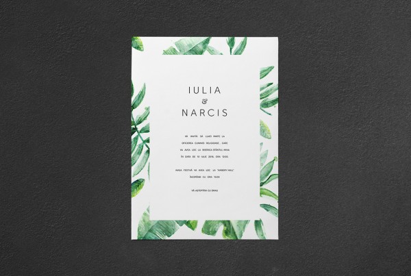 Iulia si Narcis