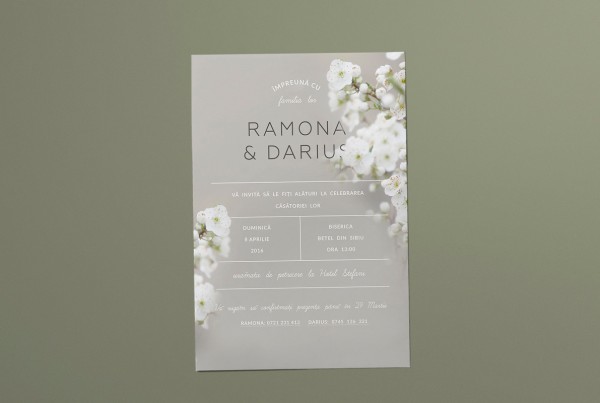 Ramona si Darius